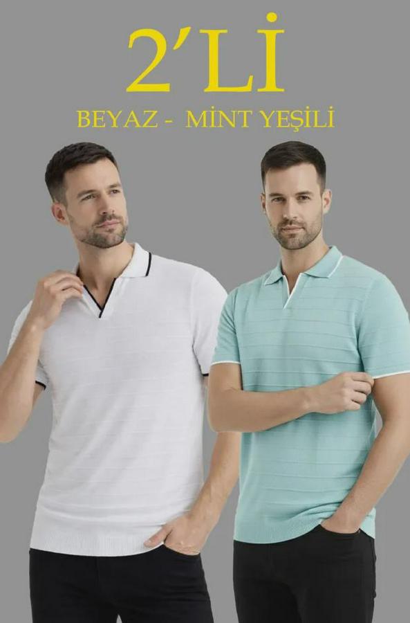 ’li Paket Triko Yakalı Düğmesiz Açık Yaka Fitilli Kısa Kollu Regular Fit Tişört