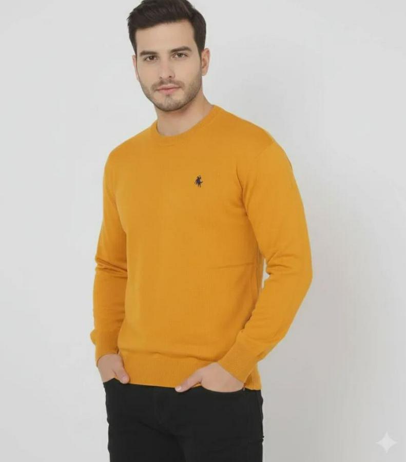 Bisiklet Yaka Nakış Işlemeli Triko Kazak Yumuşak Dokulu Pamuklu Ince Dokuma, Uzun Kollu Rahat Regular Kalıp