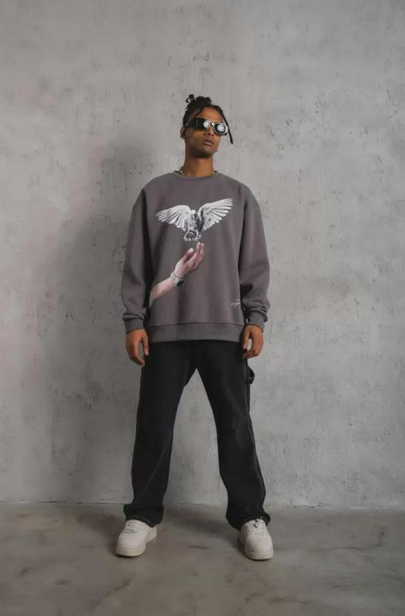 Güvercin Baskılı Sweatshirt