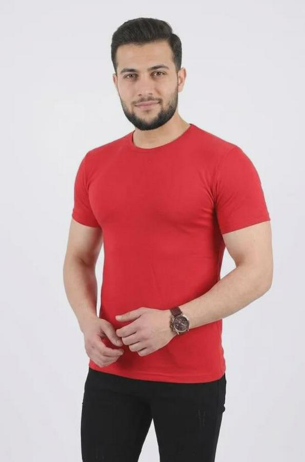 Basic Tişört Bisiklet Yaka Kısa Kol Günlük Yazlık Slim Fit T-Shirt