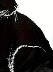 Uzun Kollu V Yakalı Kedi Baskılı Şardonlu Dalgıç Bluz