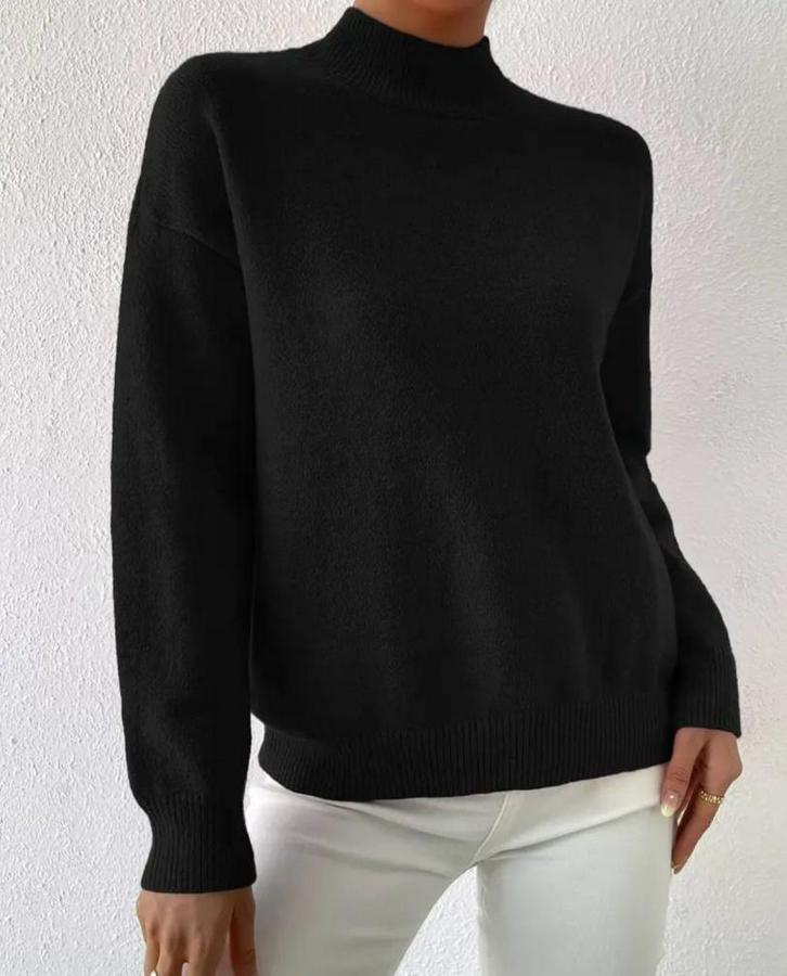 Uzun Kollu Balıkçı Yaka Triko Bluz